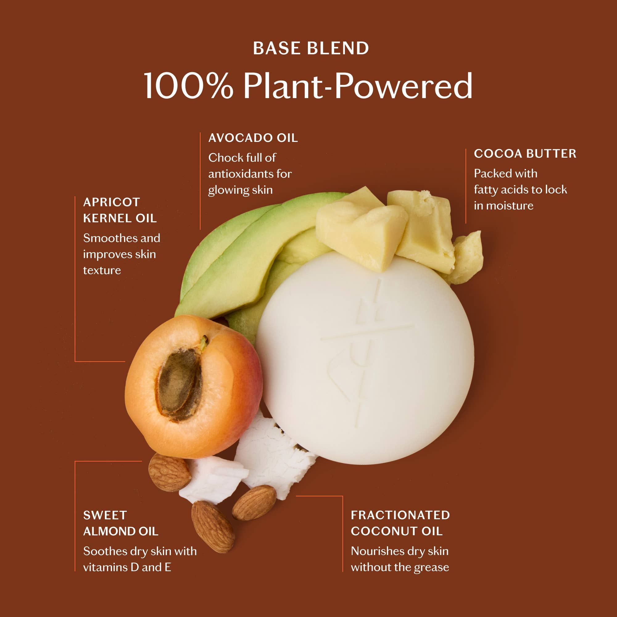 Amber & Vanilla Body Stone Lotion Bar - Box Turtle