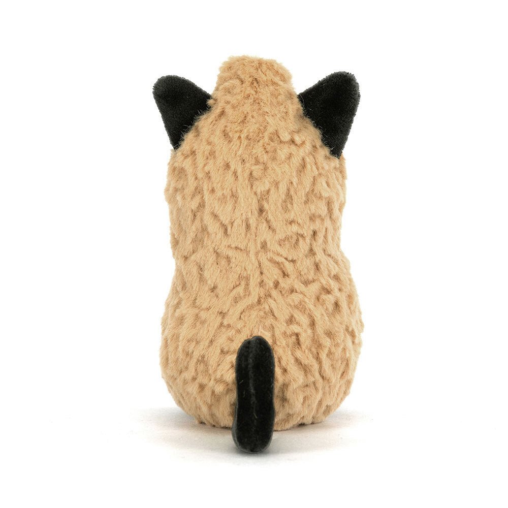 Amuseables Peanut Cat Outfit - Box Turtle