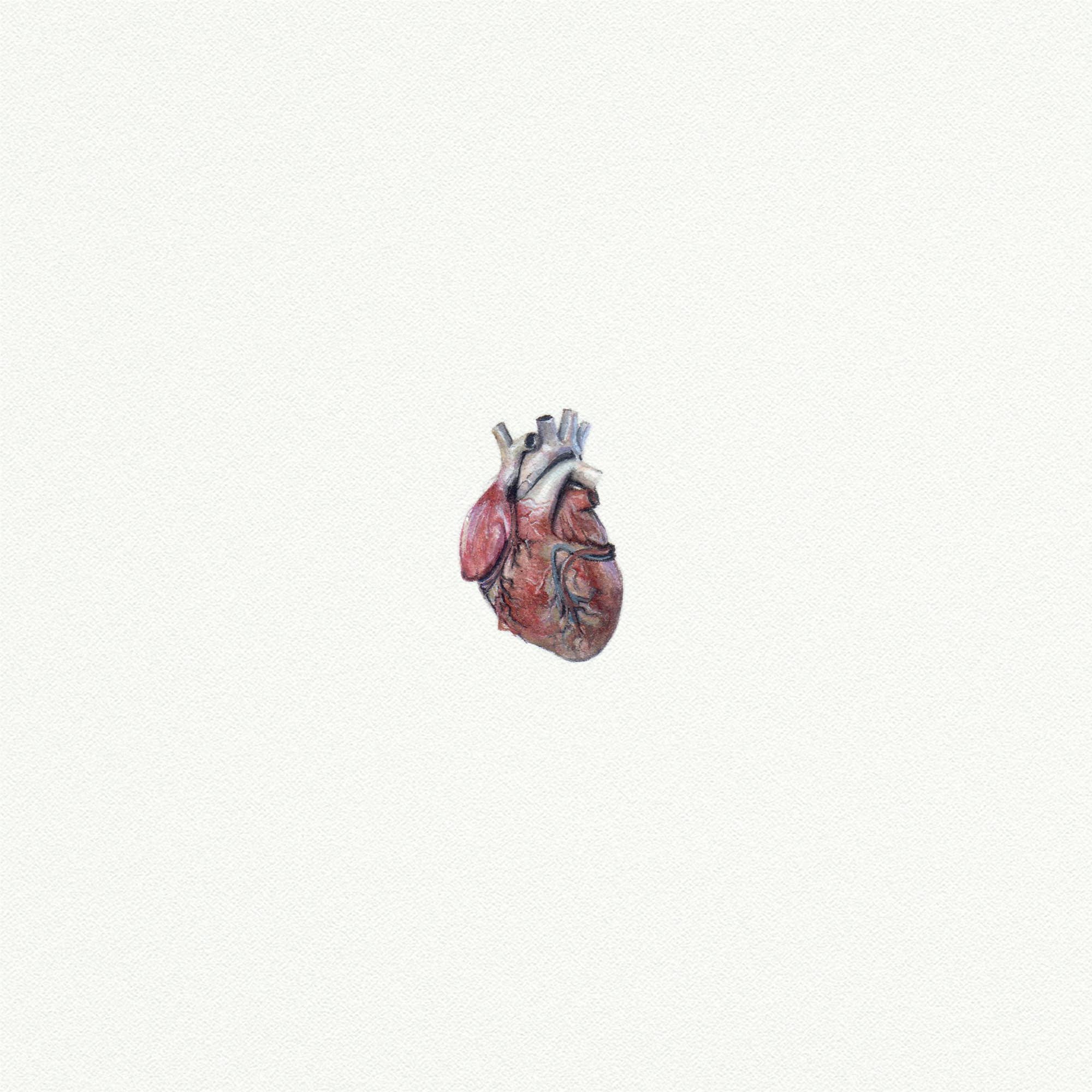 Anatomical Heart Miniature Watercolor Print - Box Turtle
