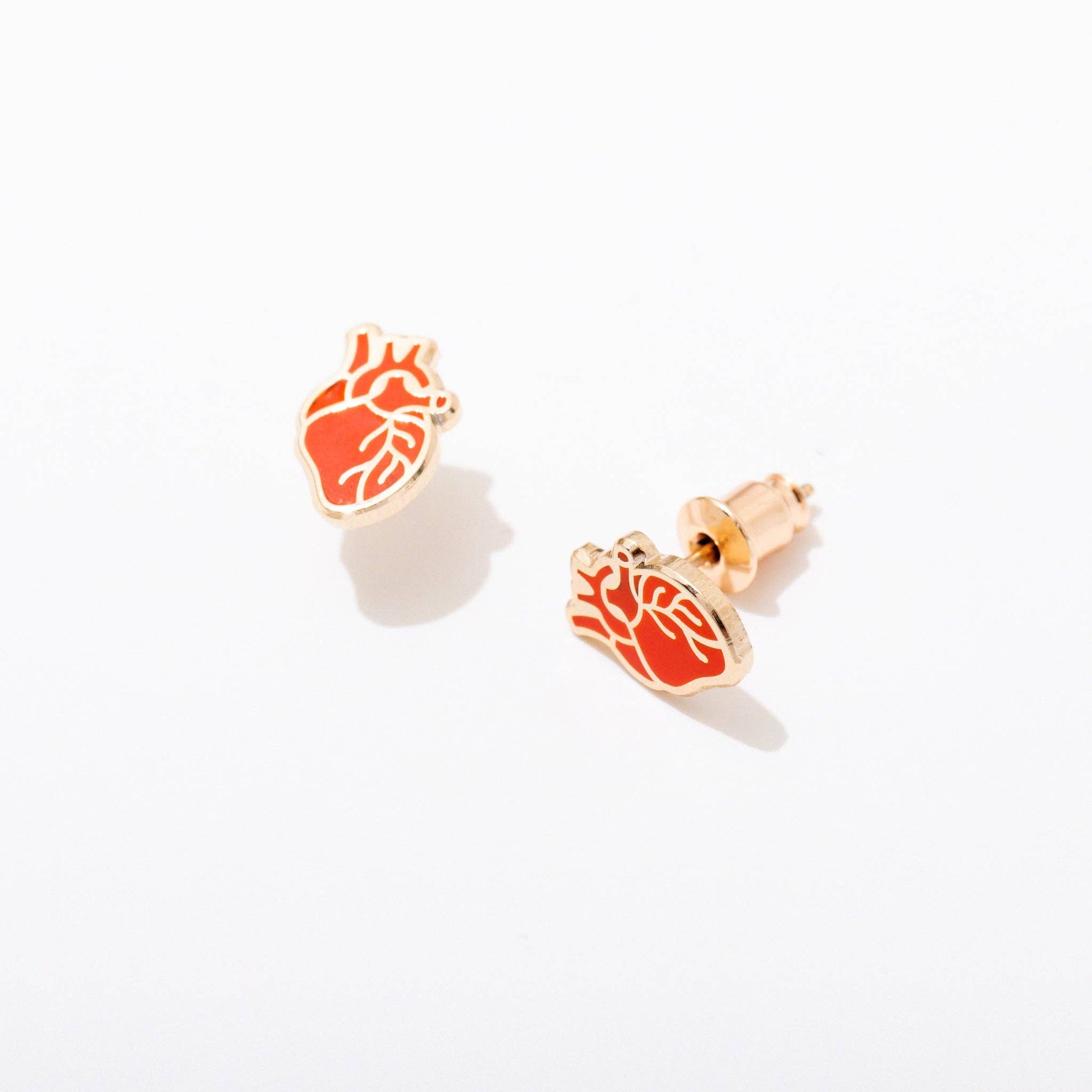Anatomical Heart Studs - Box Turtle