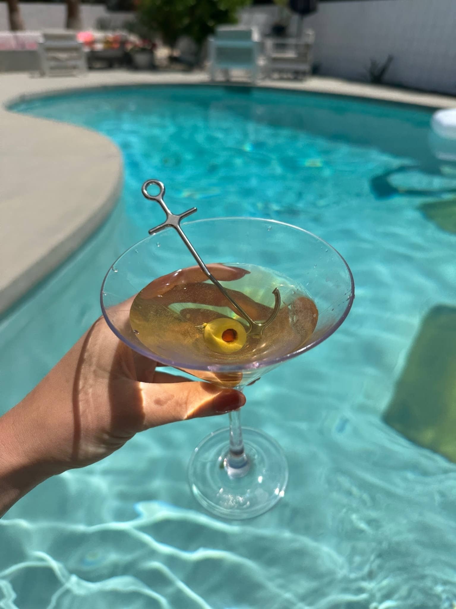 Anchor Cocktail Picks - Box Turtle