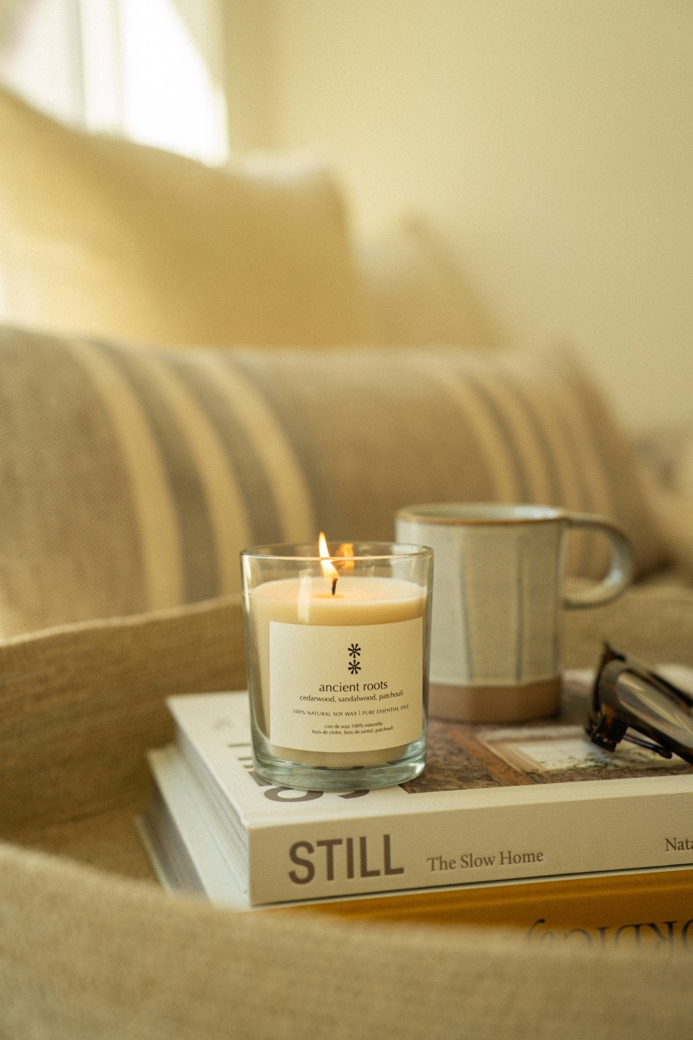 Ancient Roots Soy Candle - Box Turtle