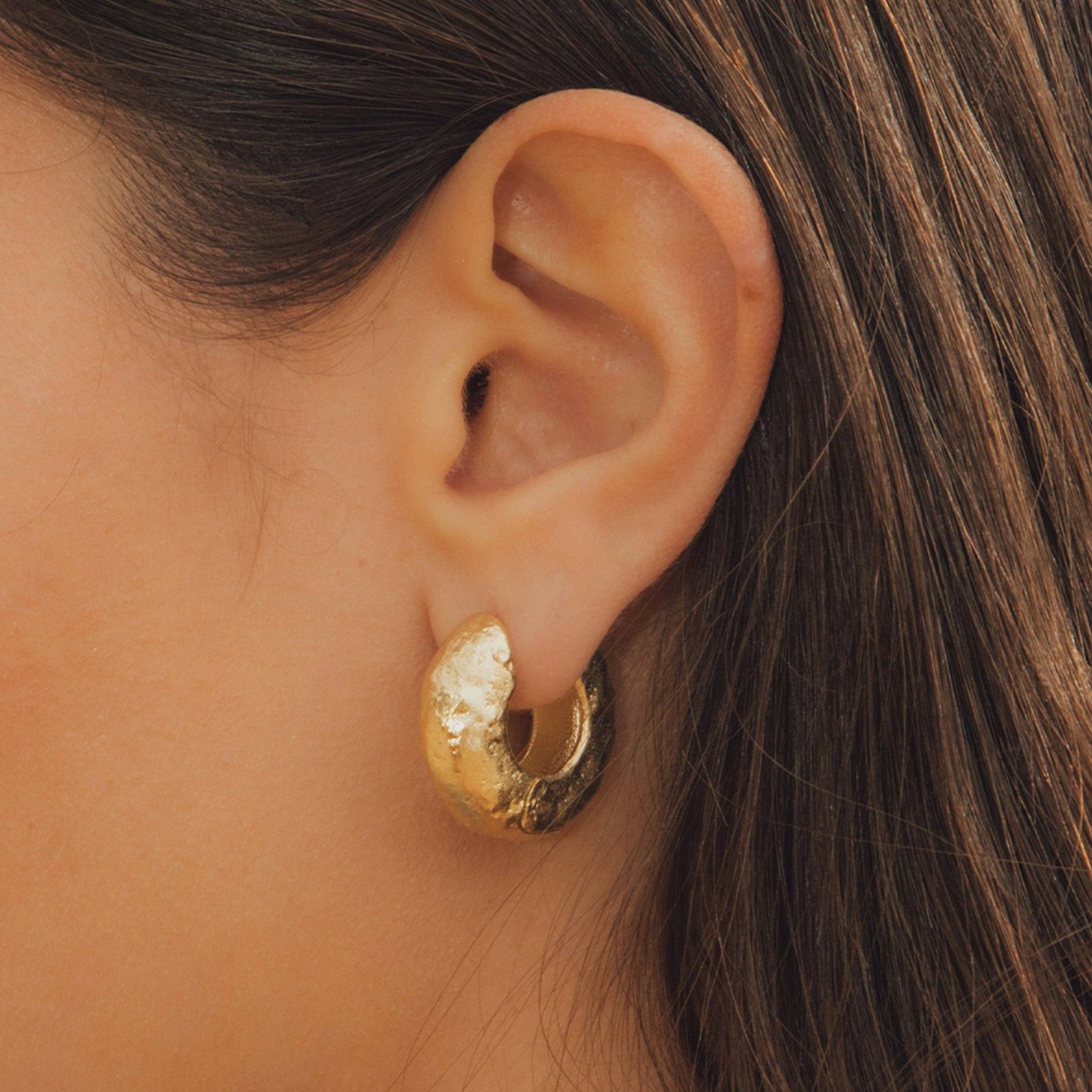 Anilla Earrings - Box Turtle