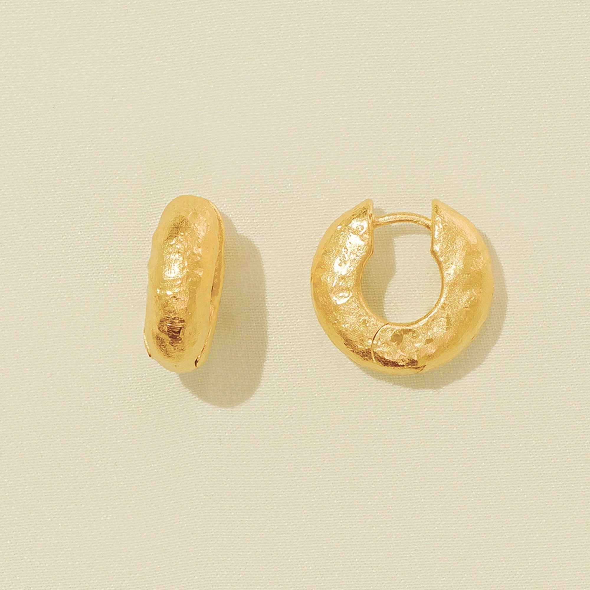 Anilla Earrings - Box Turtle
