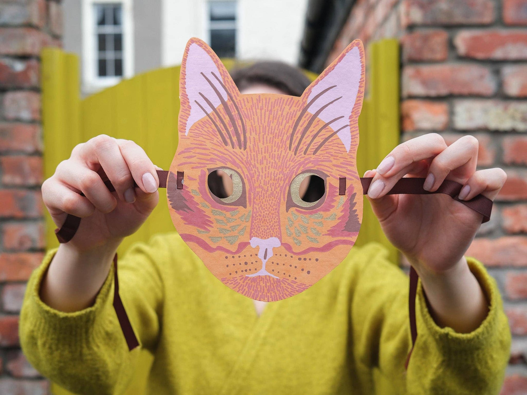 Animal Face Masks - Box Turtle