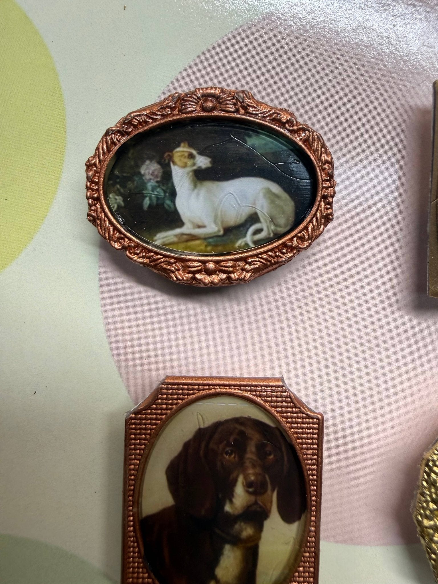 Antique Dog Magnets - Box Turtle