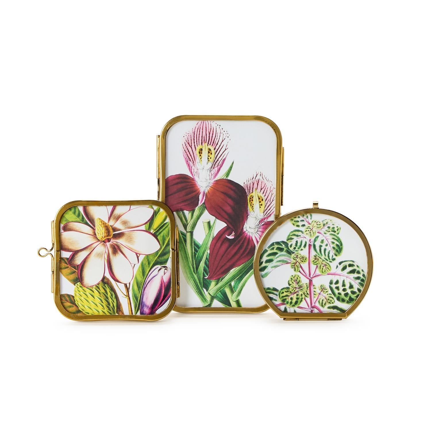 Antique Gold Trim Mini Metal Frame - Box Turtle