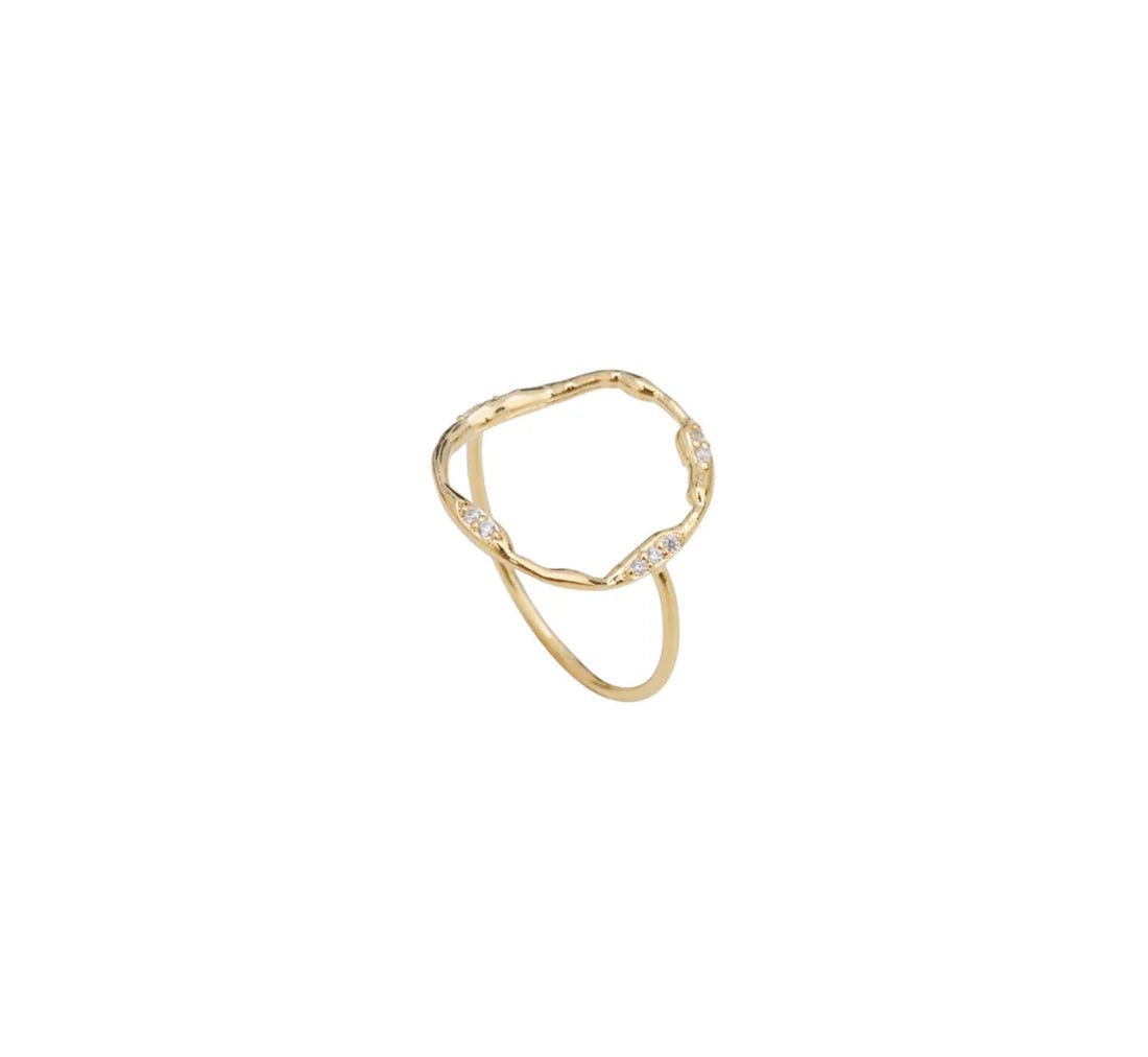 Anya Ring - Box Turtle