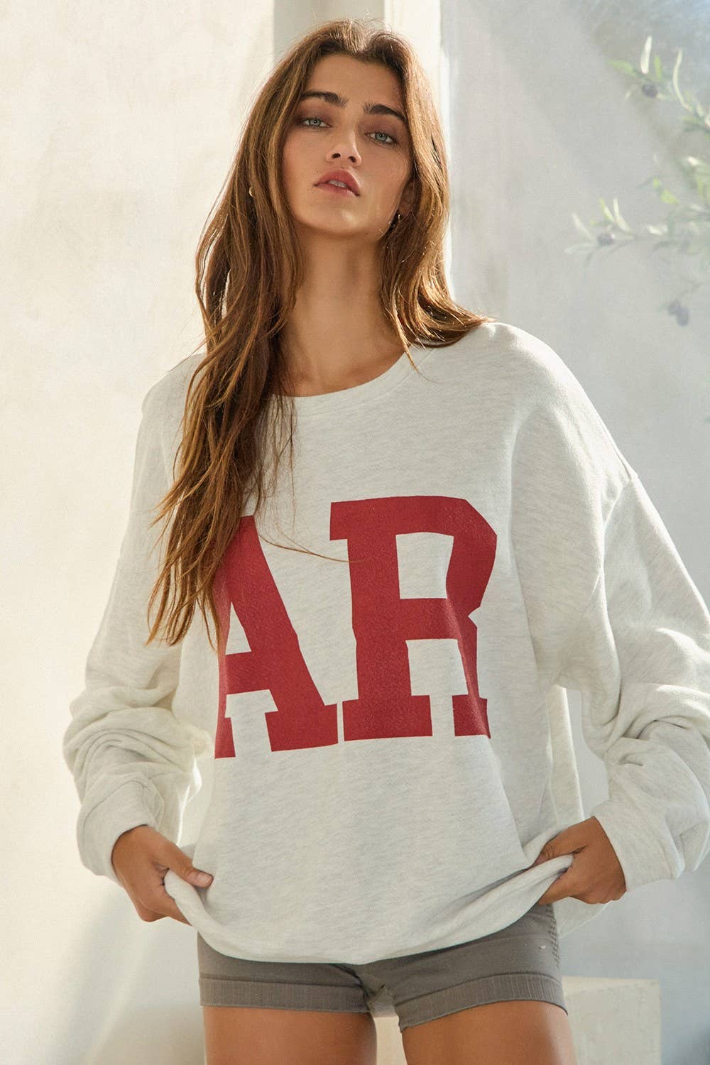 AR Graphic French Terry Sweatshirt - Box Turtle