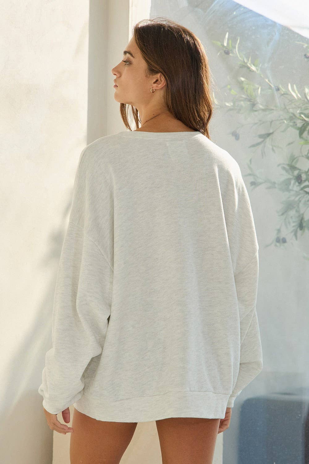 AR Graphic French Terry Sweatshirt - Box Turtle