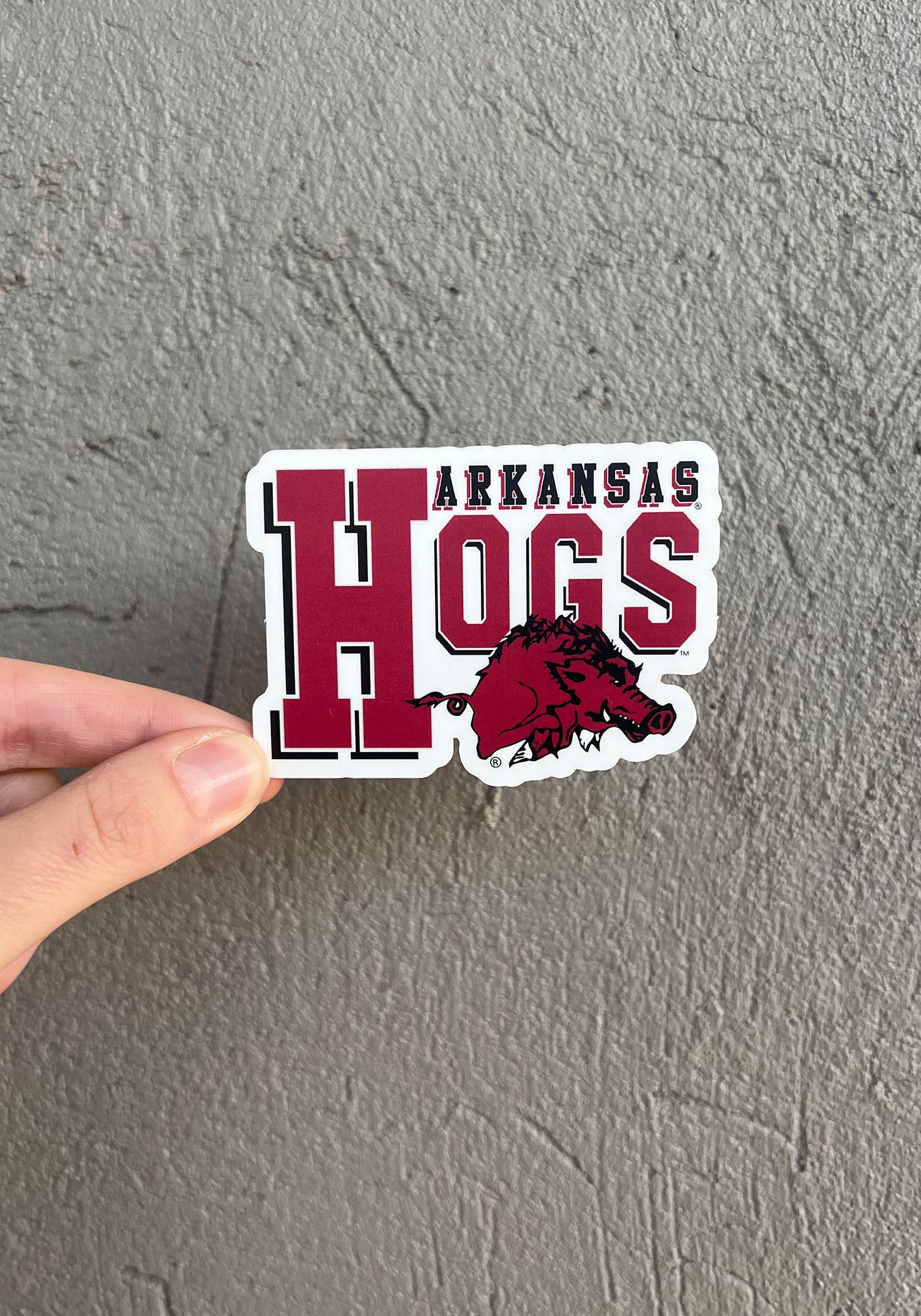 Arkansas Hogs Sticker - Box Turtle