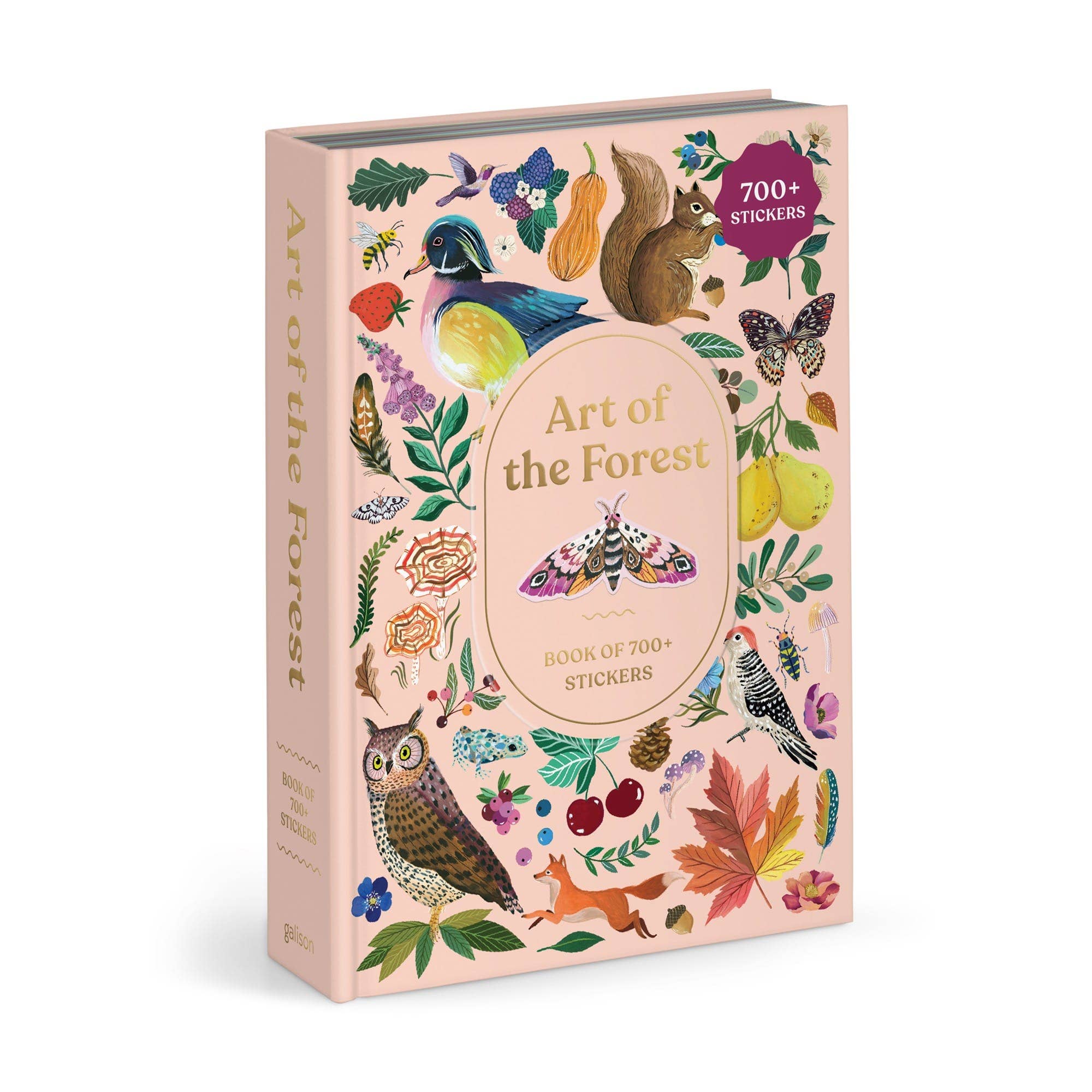 Art of the Forest 100 Page Sticker Book - Box Turtle