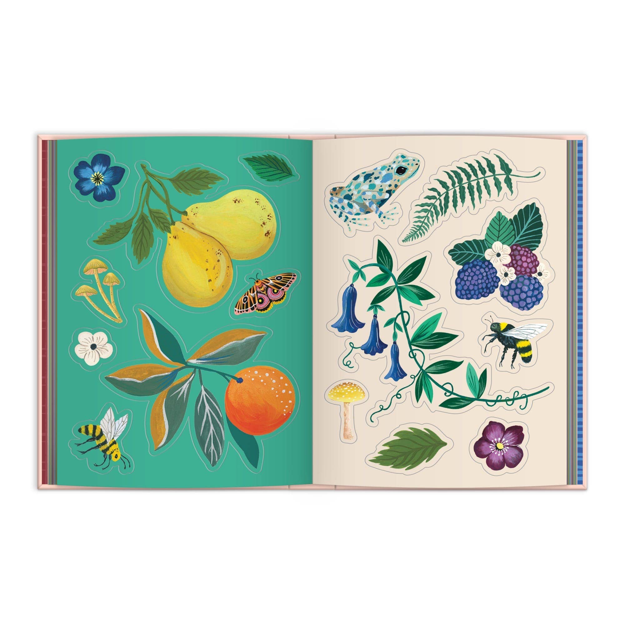Art of the Forest 100 Page Sticker Book - Box Turtle