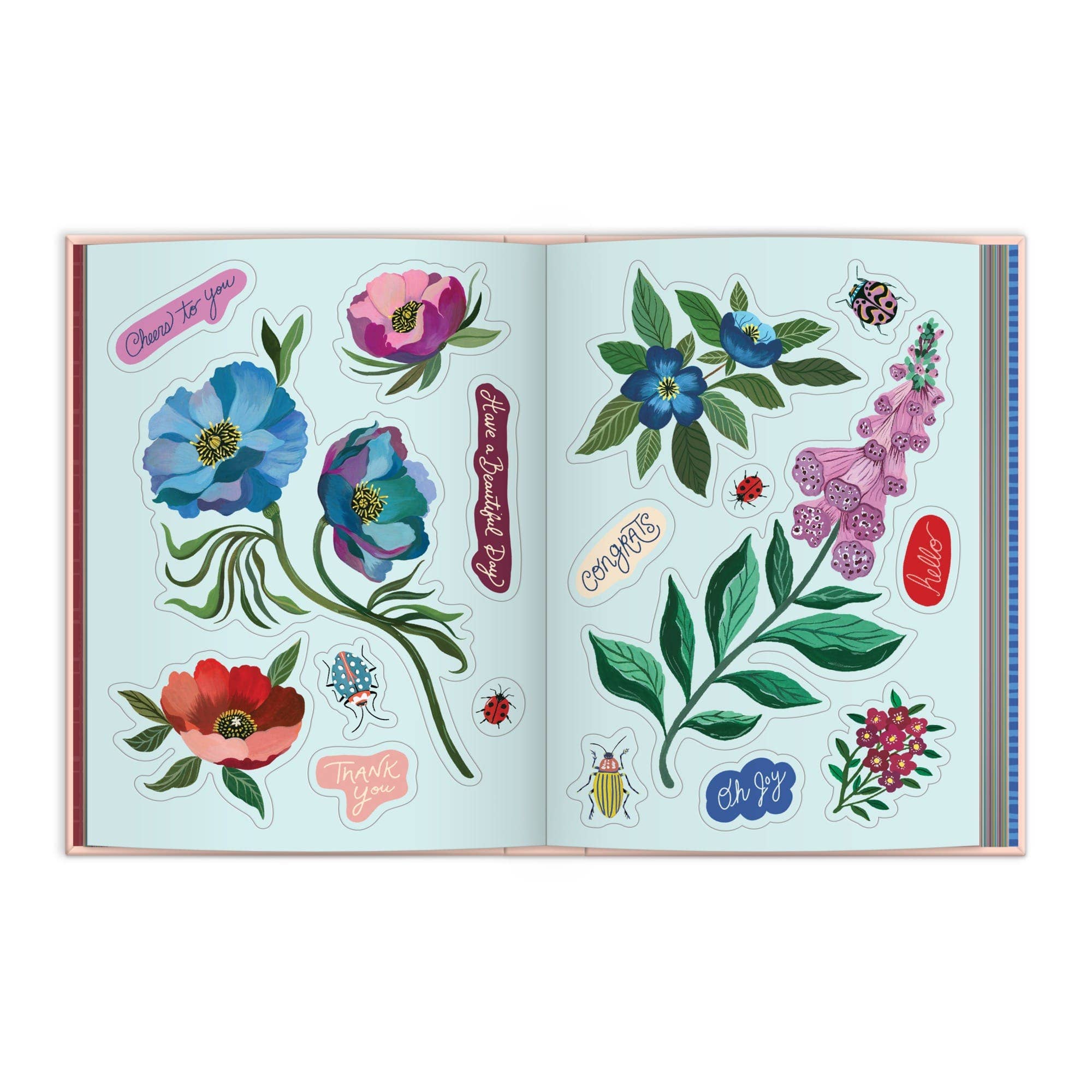 Art of the Forest 100 Page Sticker Book - Box Turtle