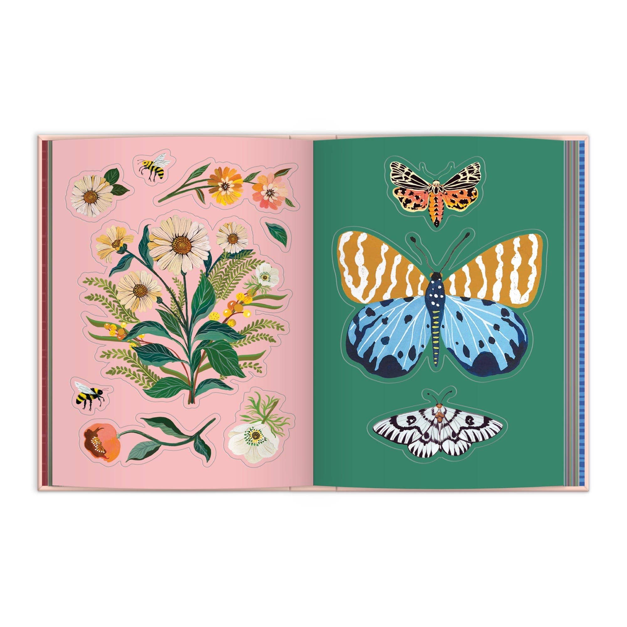 Art of the Forest 100 Page Sticker Book - Box Turtle