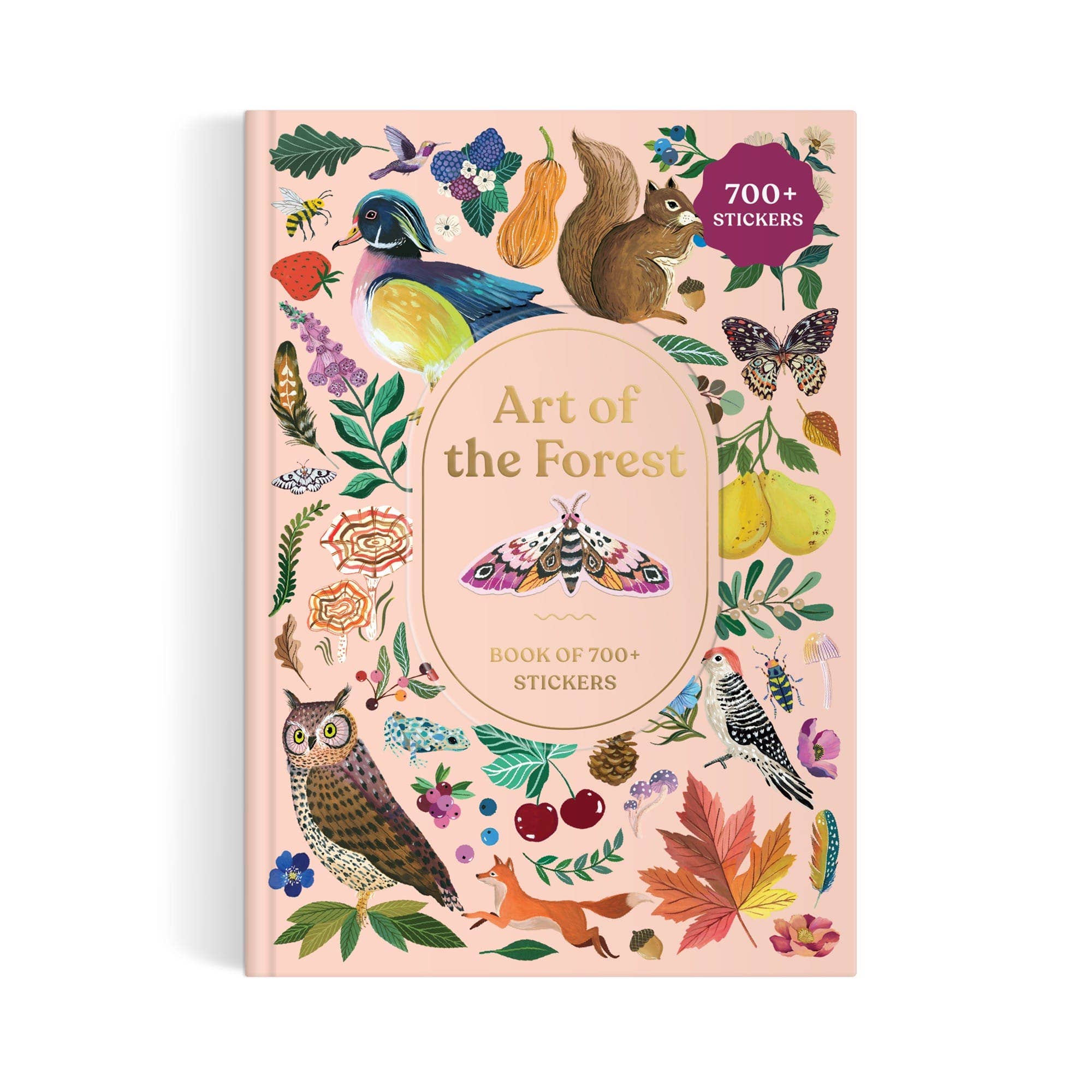 Art of the Forest 100 Page Sticker Book - Box Turtle