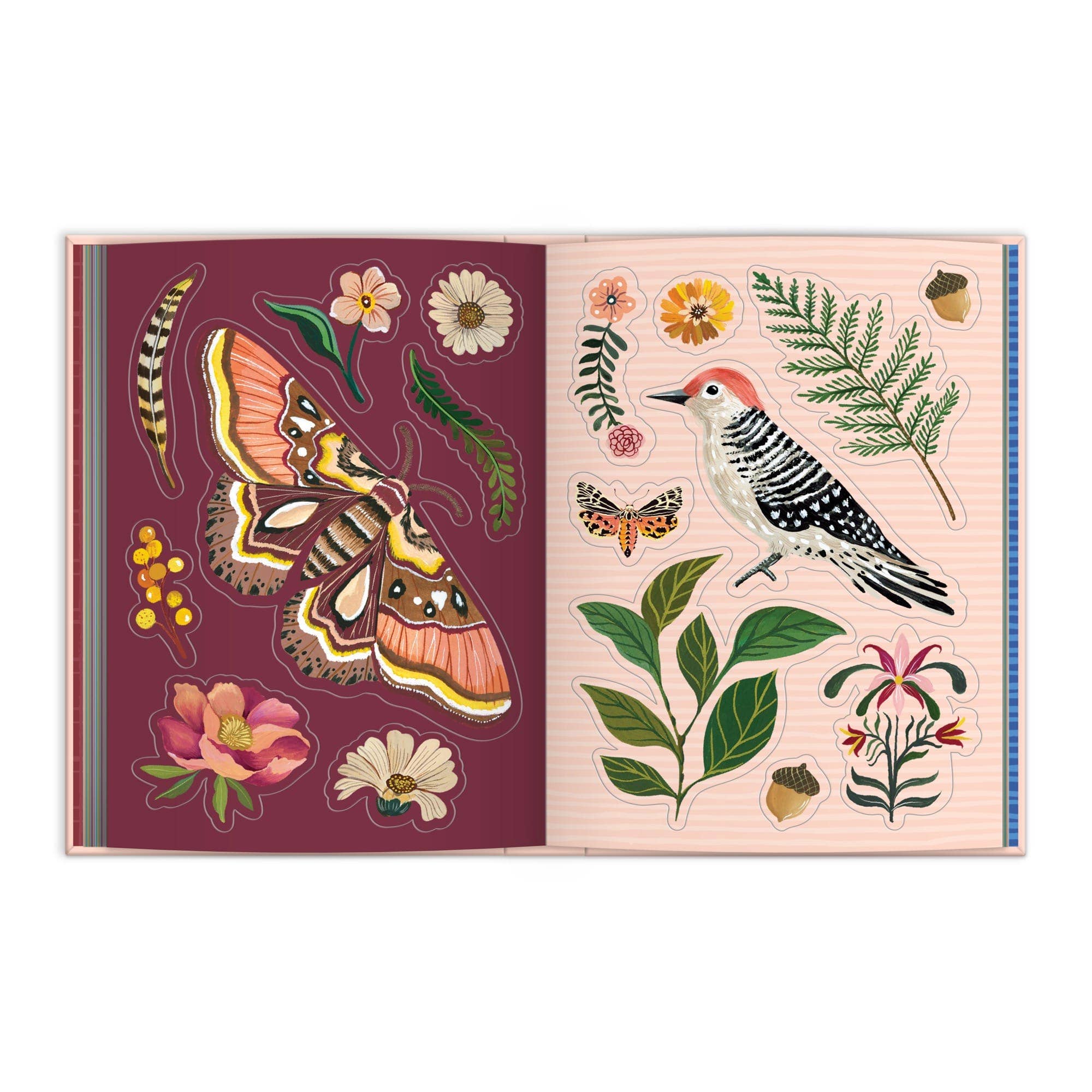 Art of the Forest 100 Page Sticker Book - Box Turtle