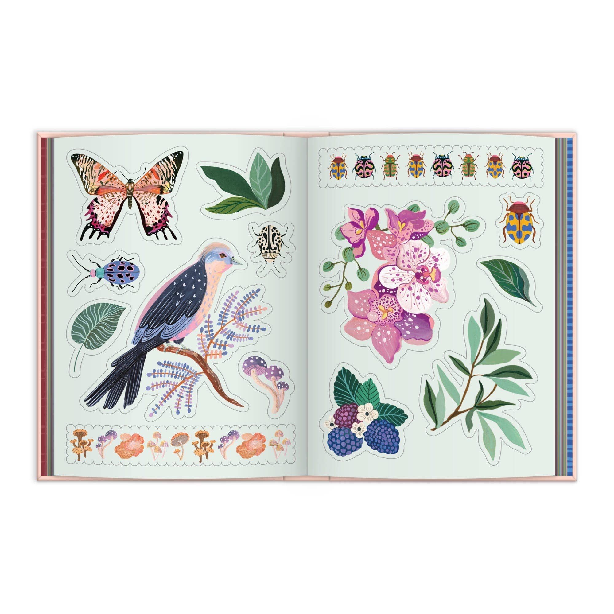 Art of the Forest 100 Page Sticker Book - Box Turtle