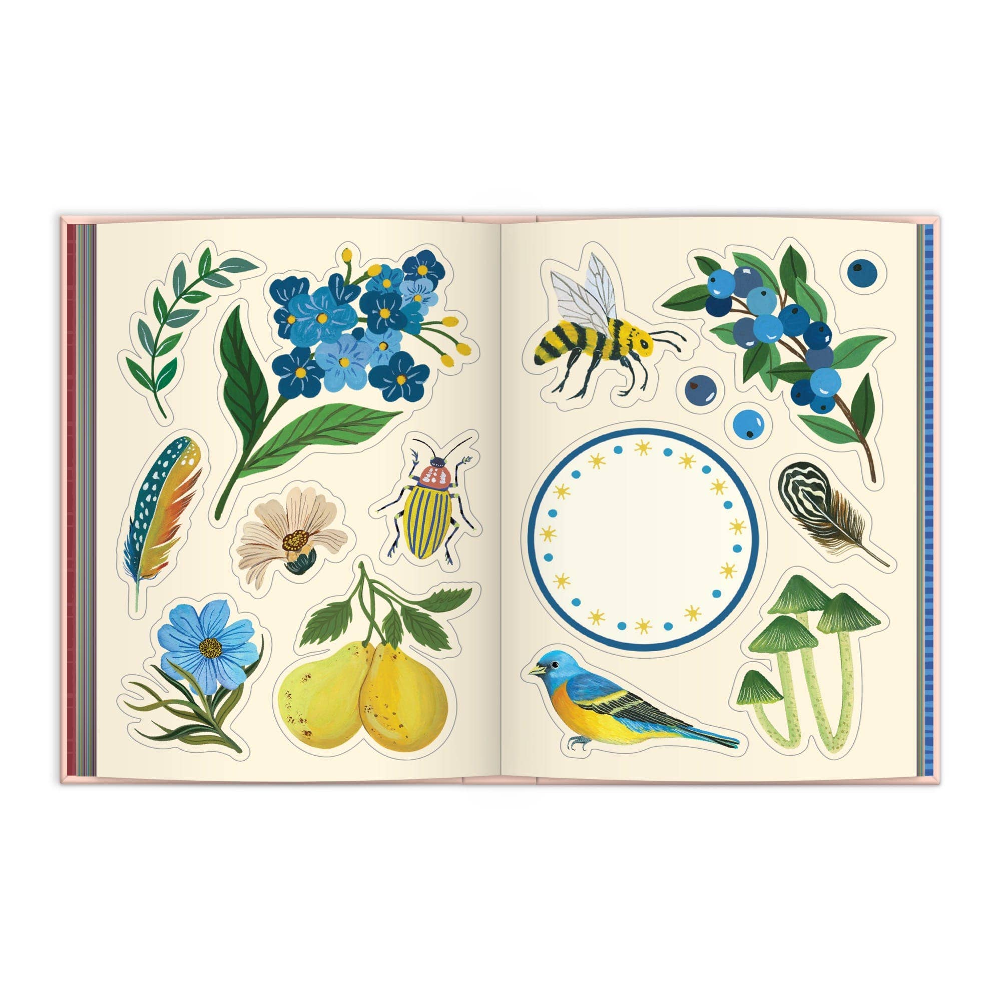 Art of the Forest 100 Page Sticker Book - Box Turtle