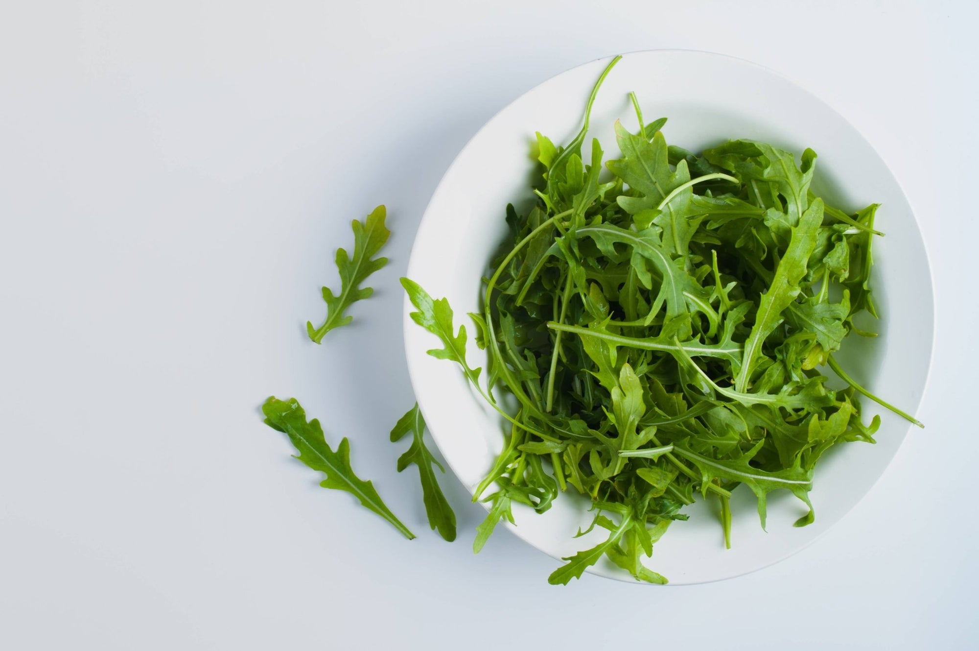Arugula & Pine Nut Pesto - Box Turtle