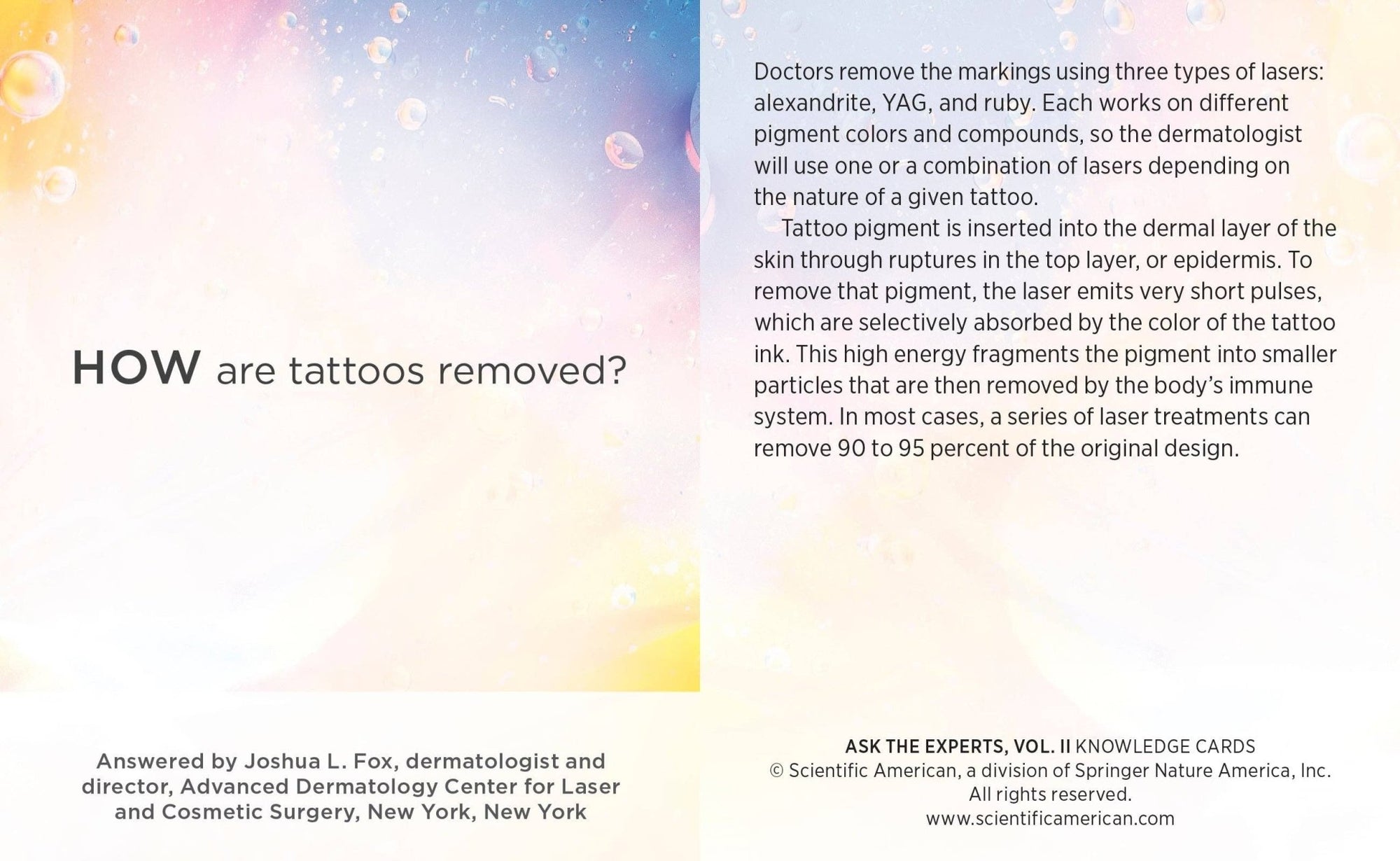 Ask the Experts: Vol. 2 Knowledge Cards - Box Turtle