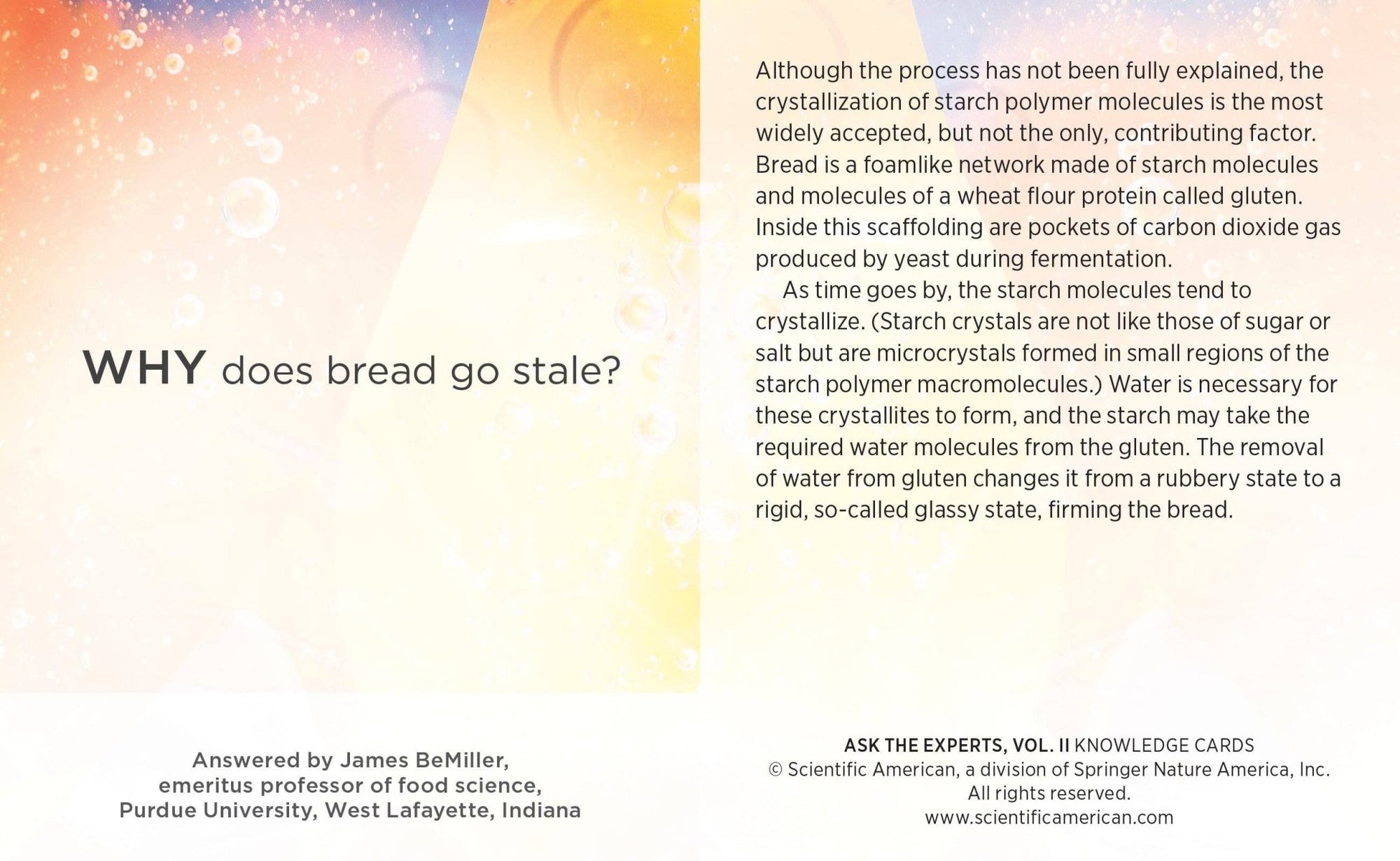 Ask the Experts: Vol. 2 Knowledge Cards - Box Turtle