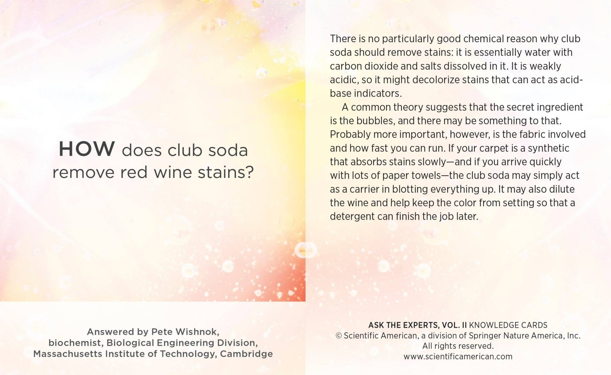 Ask the Experts: Vol. 2 Knowledge Cards - Box Turtle