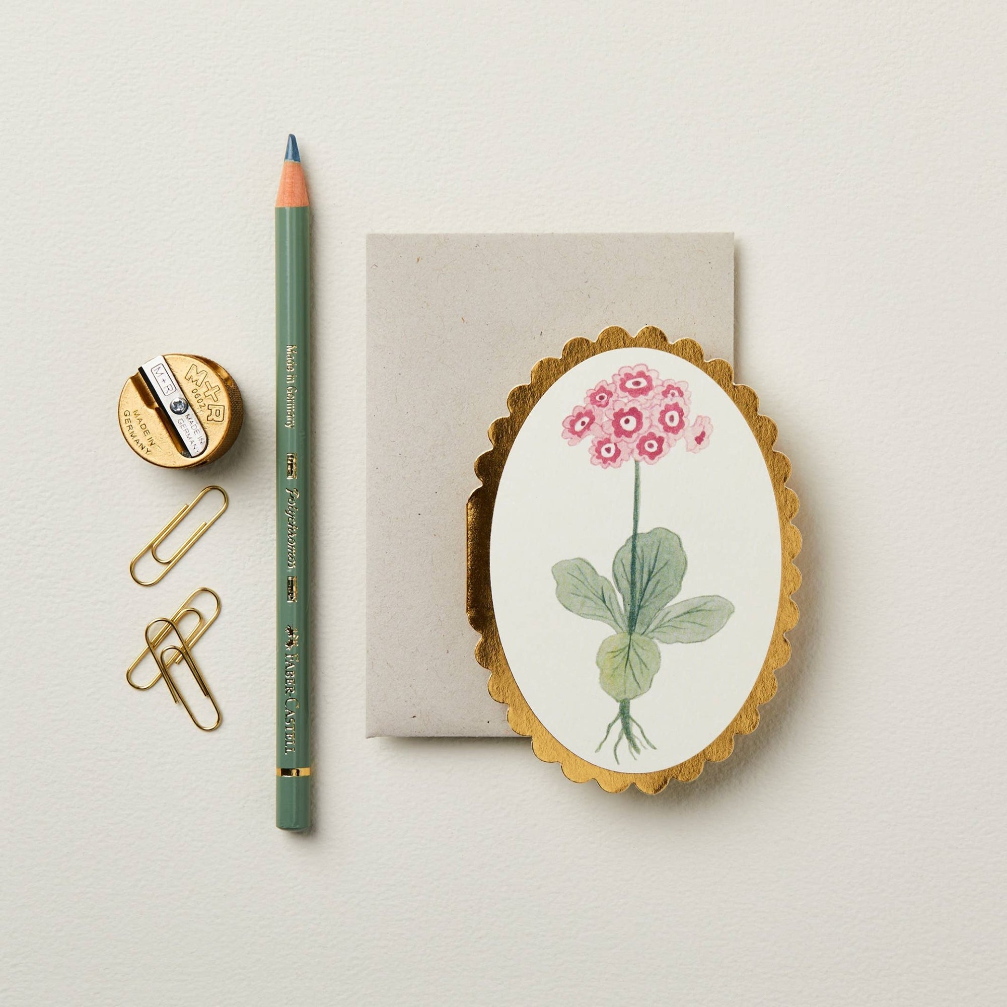 Auricula Mini Card - Box Turtle