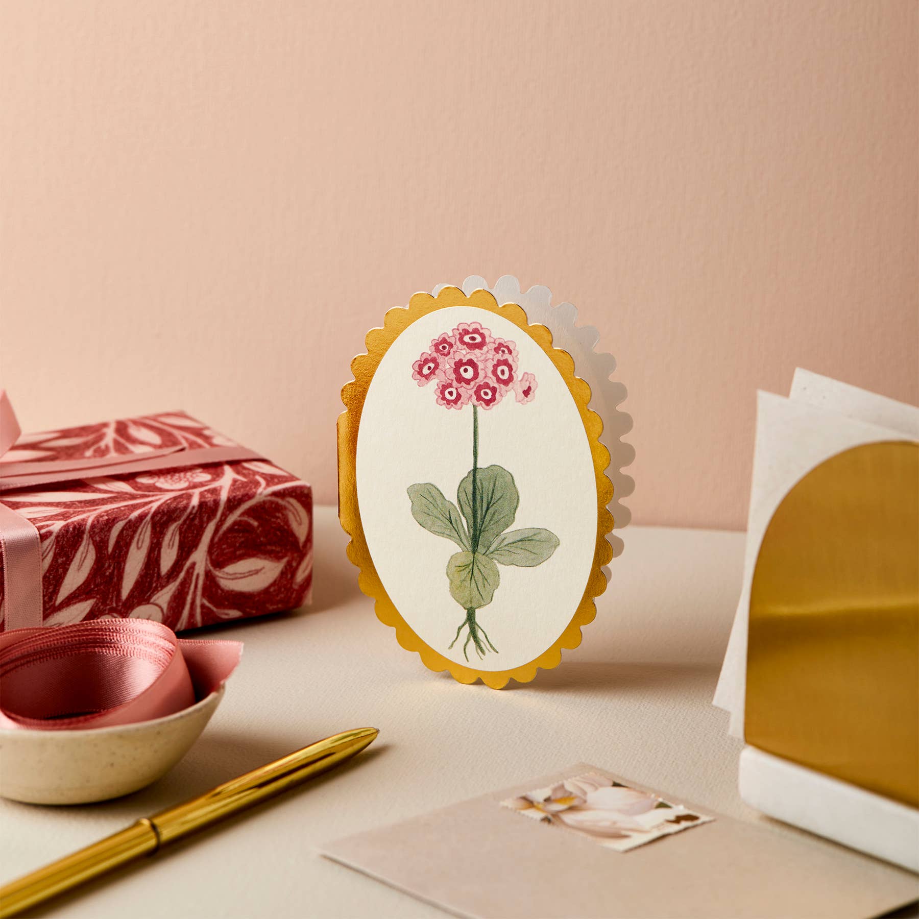 Auricula Mini Card - Box Turtle
