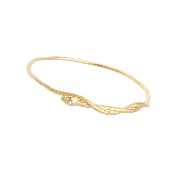 Azzair Bangle - Box Turtle