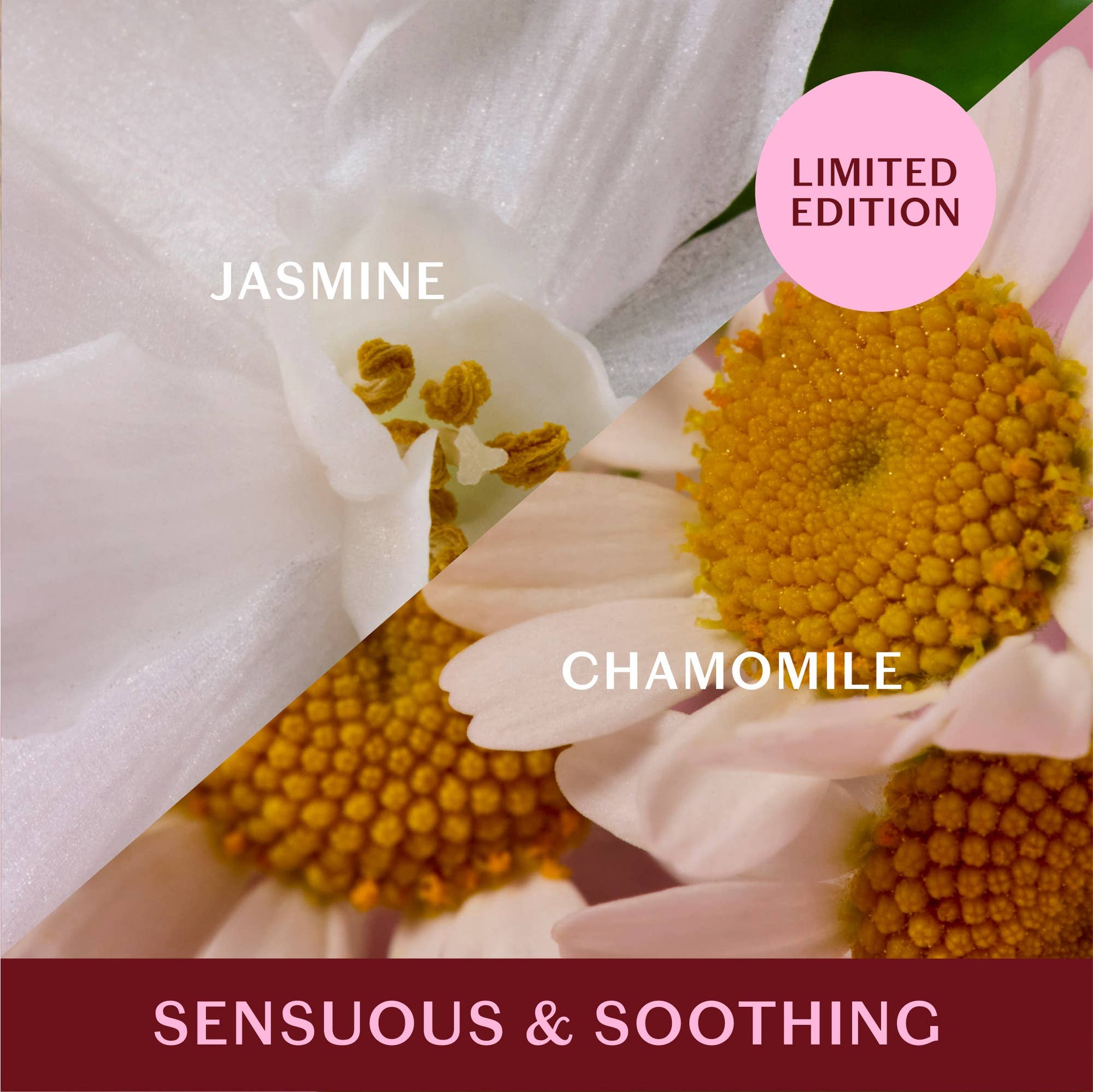 Jasmine & Chamomile Body Lotion Bar