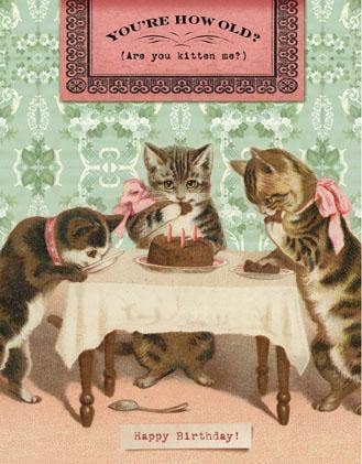 Are You Kitten Me? Birthday Card