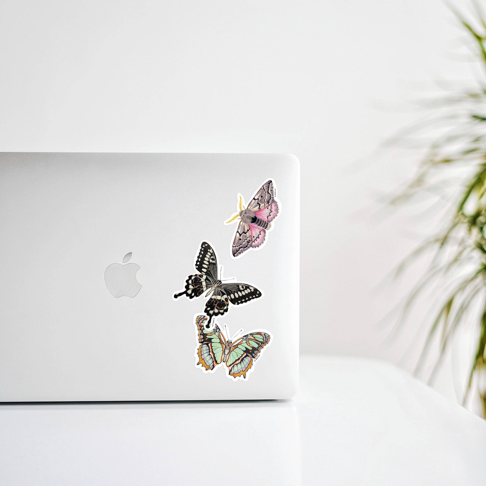 Malachite Butterfly Vinyl Sticker