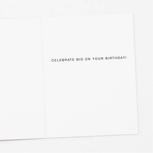 Disco Raccoon Birthday Card