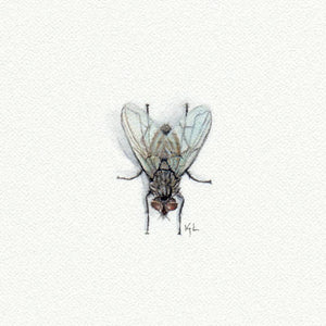 Fly Miniature Watercolor Print