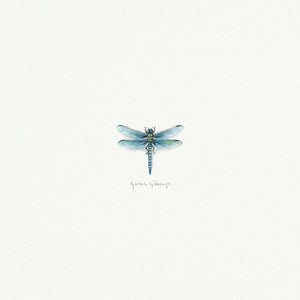 Dragonfly Miniature Watercolor Print