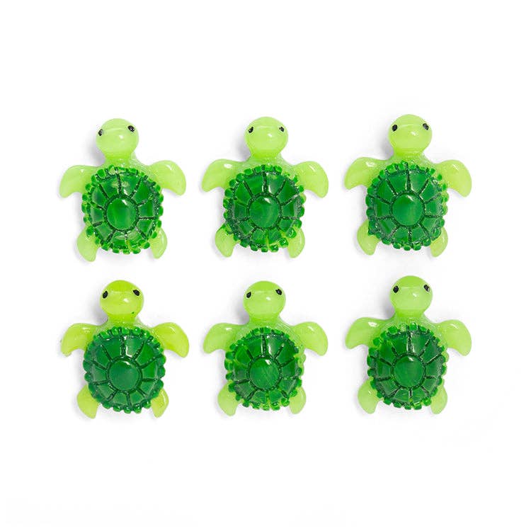 Baby Turtle Magnets - Box Turtle