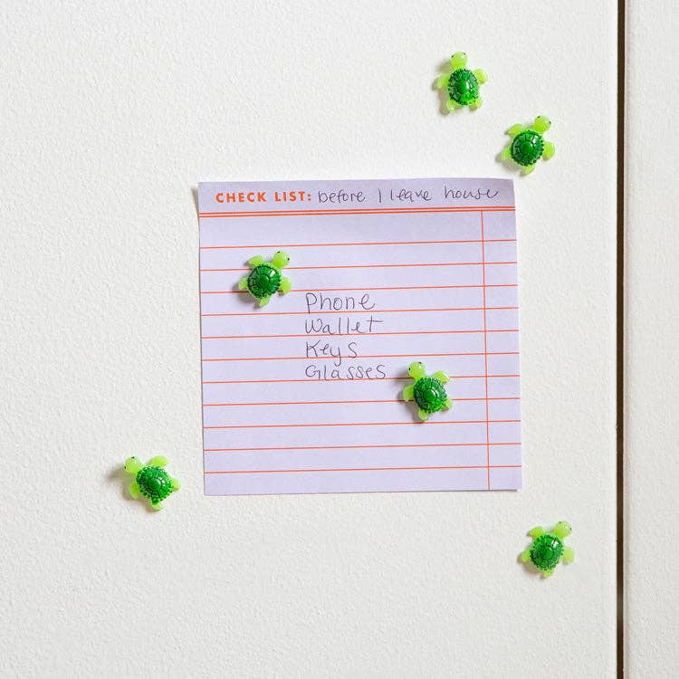 Baby Turtle Magnets - Box Turtle