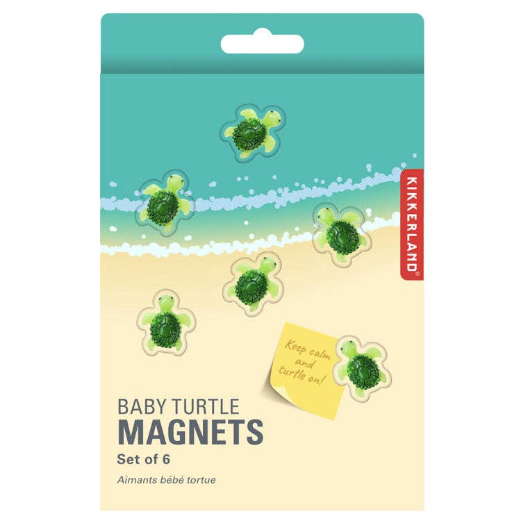 Baby Turtle Magnets - Box Turtle