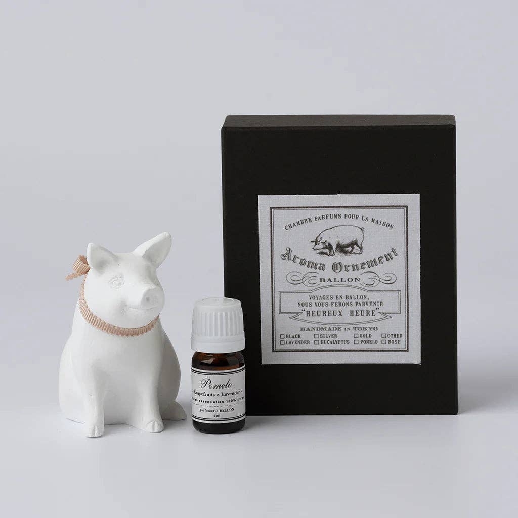 Ballon Sitting Pig Oil Diffuser - Box Turtle