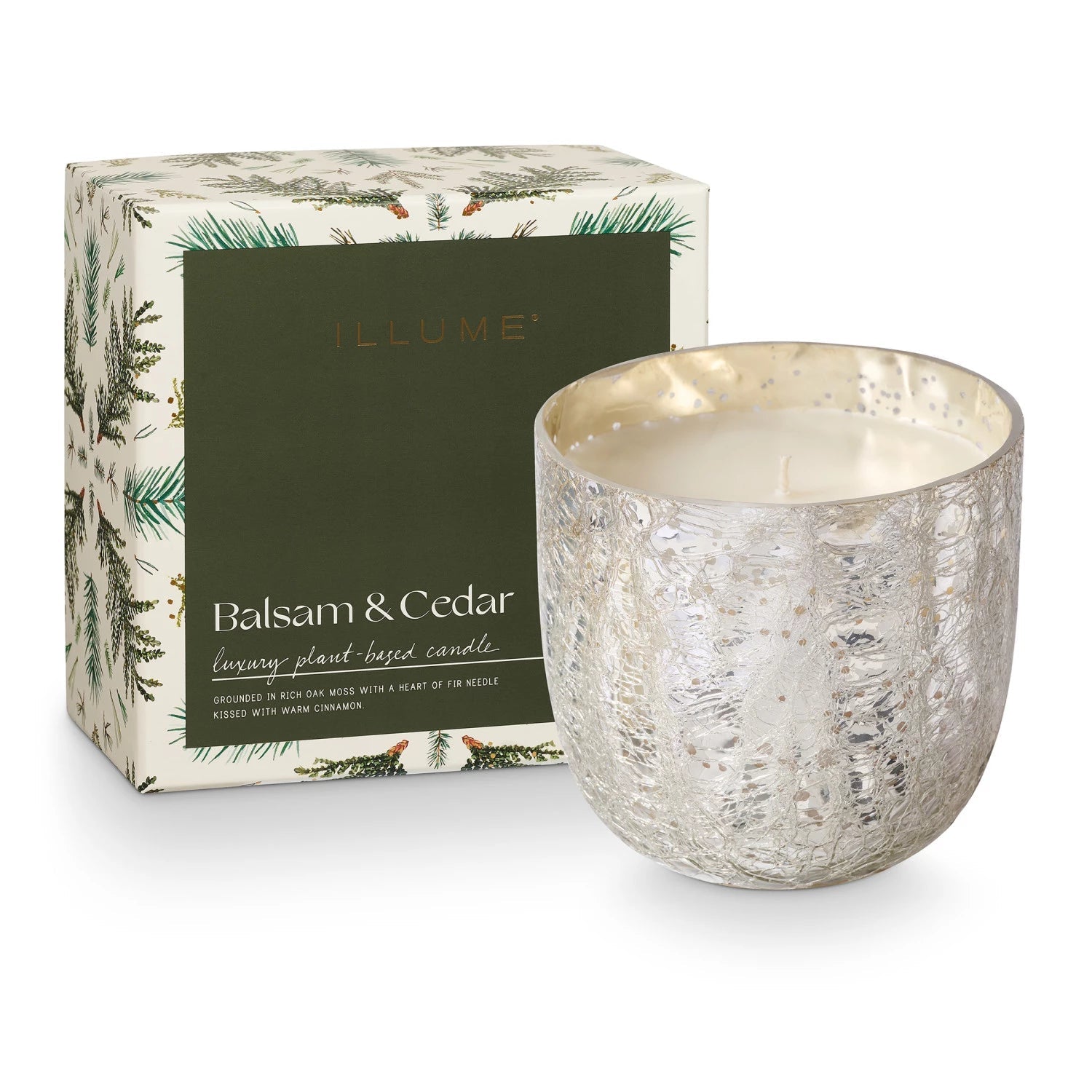 Balsam & Cedar Candles - Box Turtle