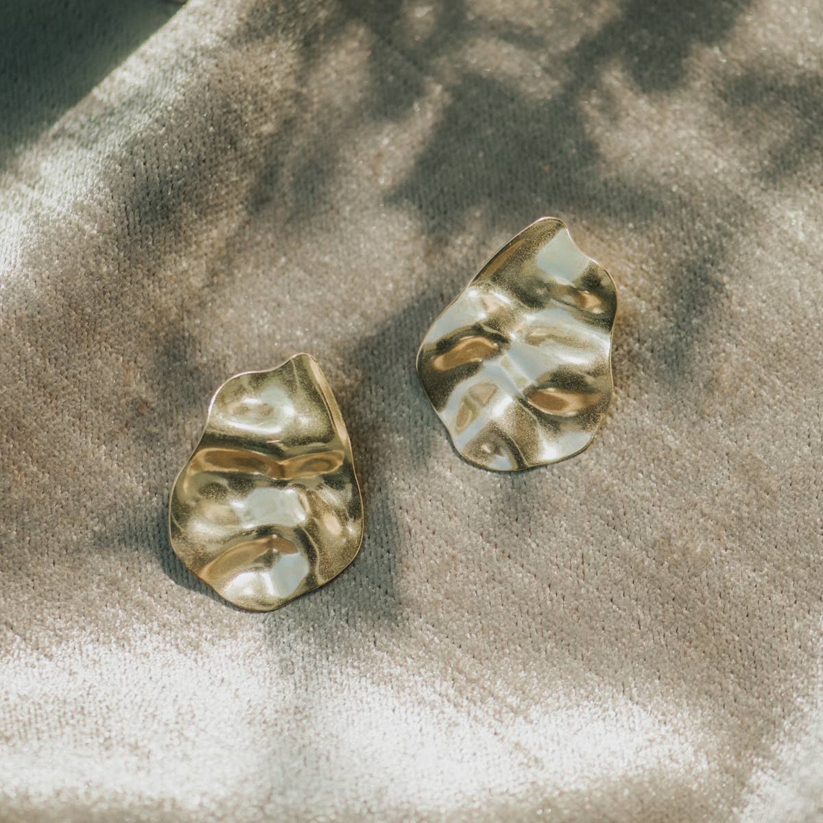 Baltic Studs - Box Turtle