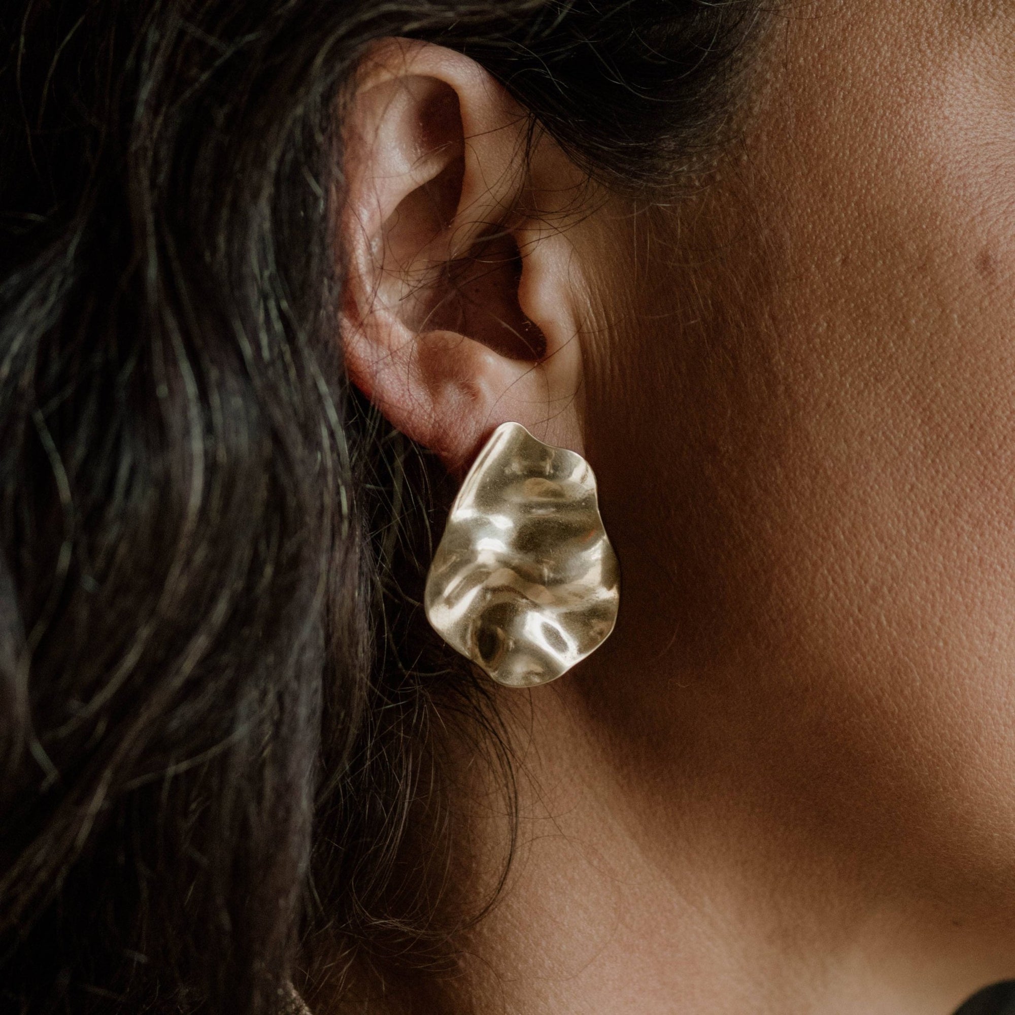 Baltic Studs - Box Turtle