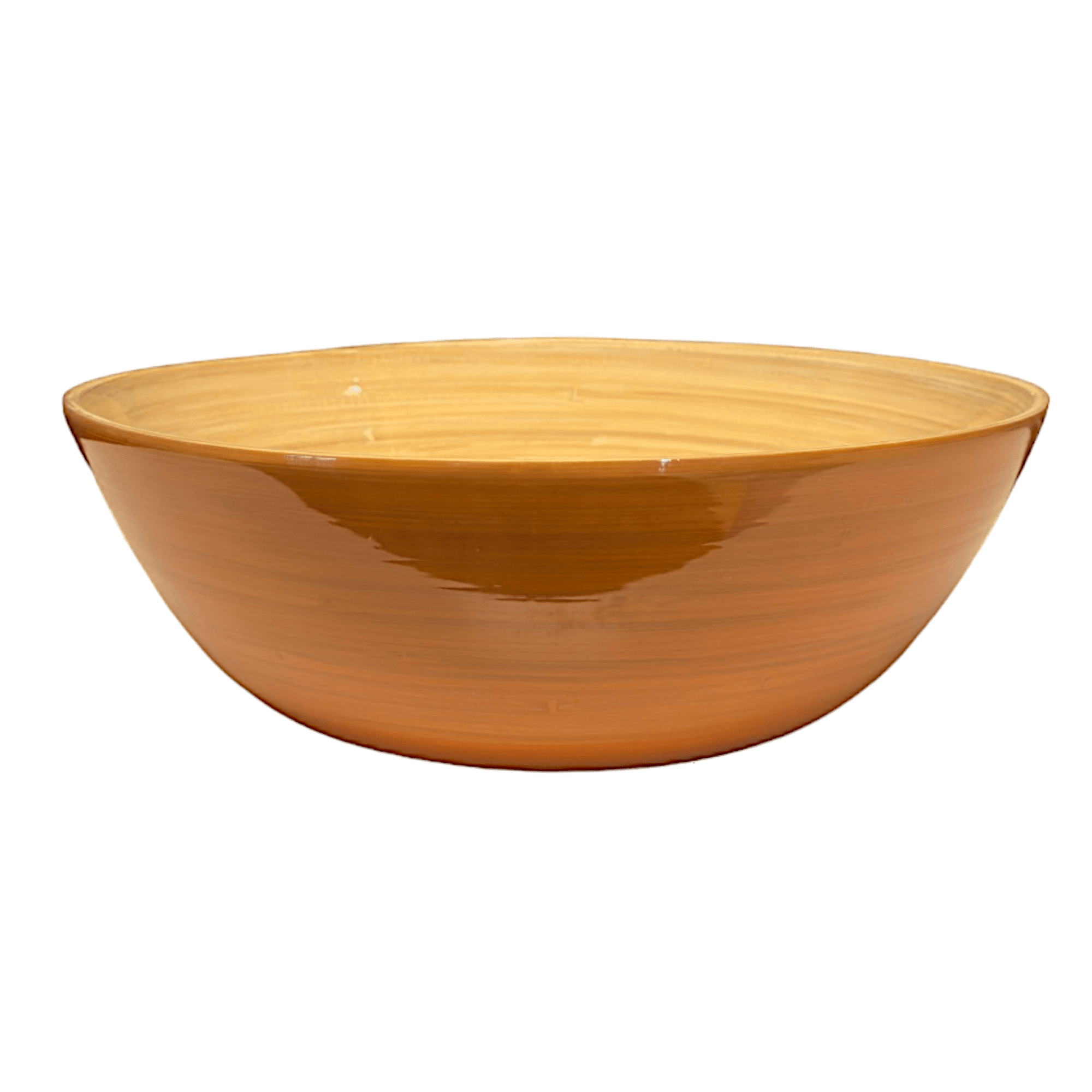 Bamboo Classic Bowl - Box Turtle