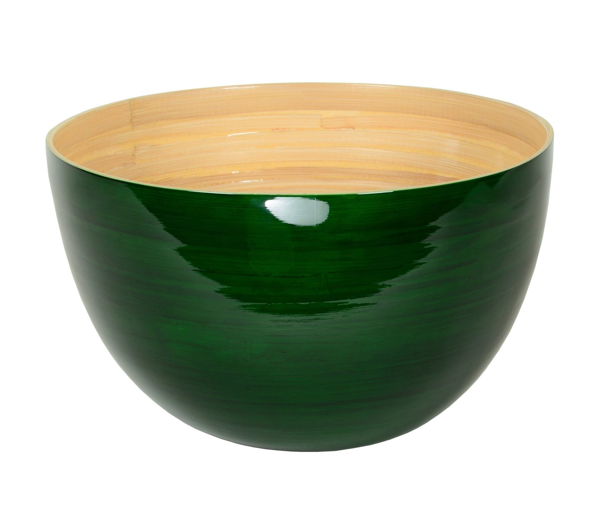 Bamboo Family Bowl - Box Turtle