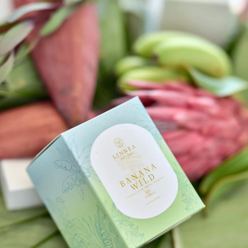 Banana Wild Candle - Box Turtle