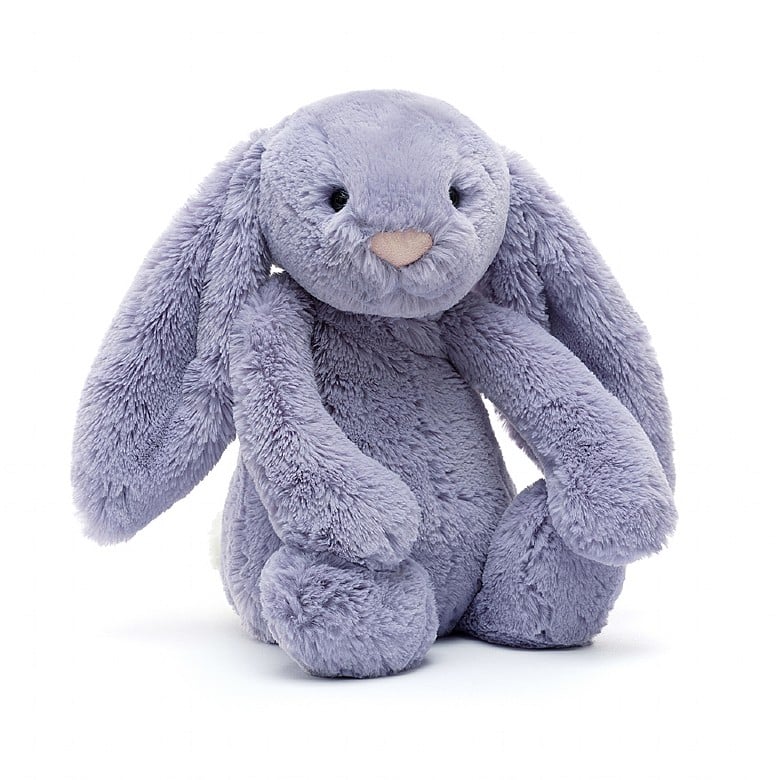 Bashful Viola Bunny - Box Turtle