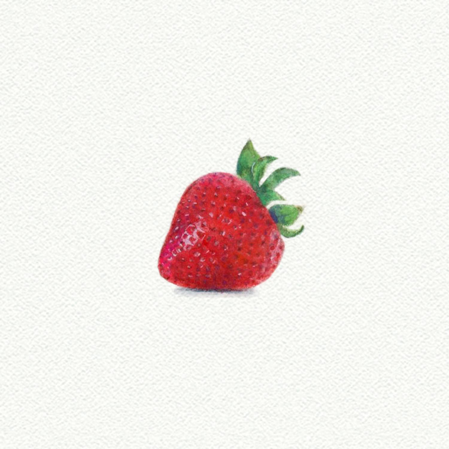 Strawberry Miniature Watercolor Print