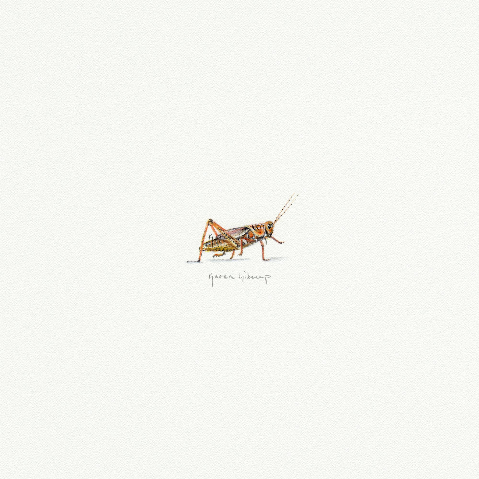 Grasshopper Miniature Watercolor Print