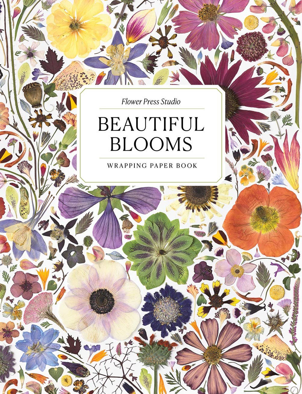 Beautiful Blooms Wrapping Paper Book - Box Turtle